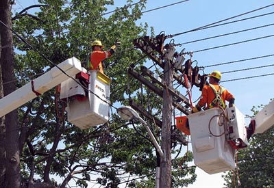 Power Utility in Sarnia-Lambton Fined in Electrocution Death of Worker