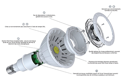 Standard’s New Generation LED Lamps