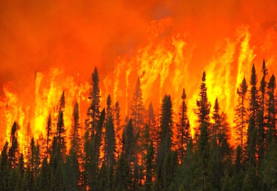 Ontario Forest Fires Regulation Now Applies to Power Generation, Utilities
