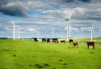 Wind Power in Canada: An Update