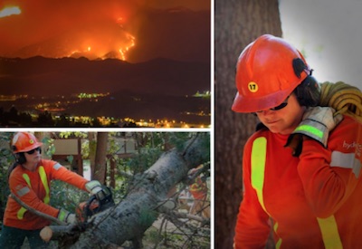 Hydro One Sending a Team to Support Power Grid Recovery Following California Wildfires